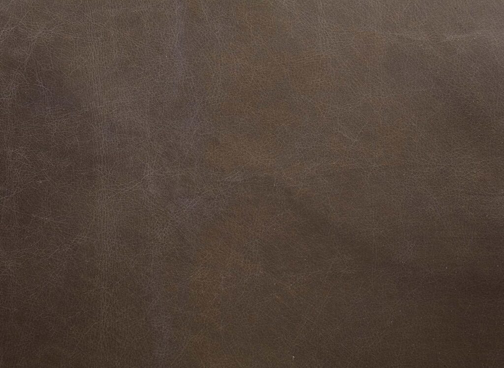 Acme Furniture Saturn Leather Metal Frame Accent Chair Cushion Acme Furniture Saturn Leather Metal Frame Accent Chair Cushion